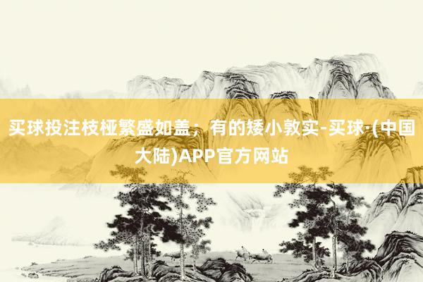 买球投注枝桠繁盛如盖；有的矮小敦实-买球·(中国大陆)APP官方网站