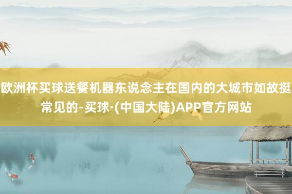欧洲杯买球送餐机器东说念主在国内的大城市如故挺常见的-买球·(中国大陆)APP官方网站