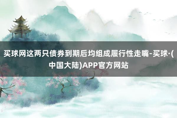 买球网这两只债券到期后均组成履行性走嘴-买球·(中国大陆)APP官方网站