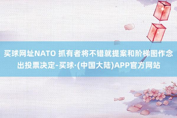买球网址NATO 抓有者将不错就提案和阶梯图作念出投票决定-买球·(中国大陆)APP官方网站