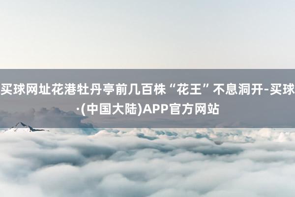 买球网址花港牡丹亭前几百株“花王”不息洞开-买球·(中国大陆)APP官方网站