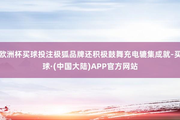 欧洲杯买球投注极狐品牌还积极鼓舞充电辘集成就-买球·(中国大陆)APP官方网站