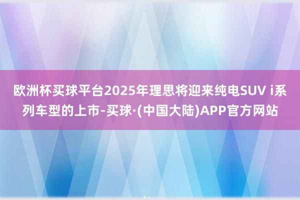 欧洲杯买球平台2025年理思将迎来纯电SUV i系列车型的上市-买球·(中国大陆)APP官方网站