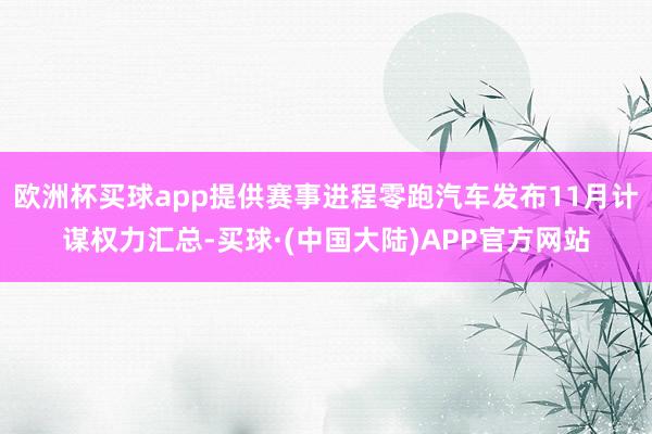 欧洲杯买球app提供赛事进程零跑汽车发布11月计谋权力汇总-买球·(中国大陆)APP官方网站