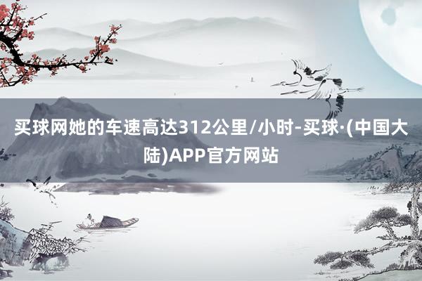 买球网她的车速高达312公里/小时-买球·(中国大陆)APP官方网站