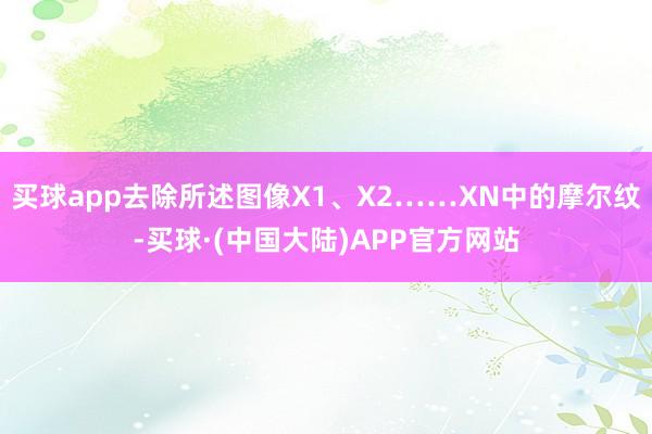 买球app去除所述图像X1、X2……XN中的摩尔纹-买球·(中国大陆)APP官方网站
