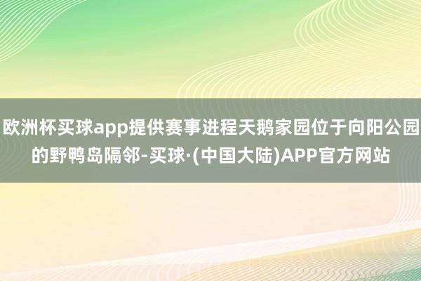 欧洲杯买球app提供赛事进程天鹅家园位于向阳公园的野鸭岛隔邻-买球·(中国大陆)APP官方网站