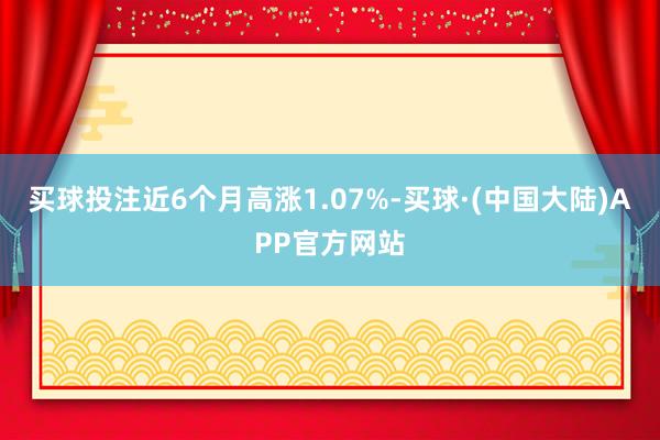买球投注近6个月高涨1.07%-买球·(中国大陆)APP官方网站