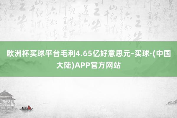 欧洲杯买球平台毛利4.65亿好意思元-买球·(中国大陆)APP官方网站