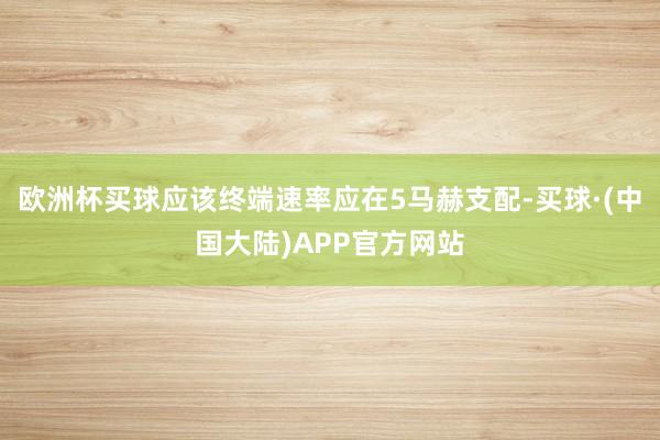 欧洲杯买球应该终端速率应在5马赫支配-买球·(中国大陆)APP官方网站