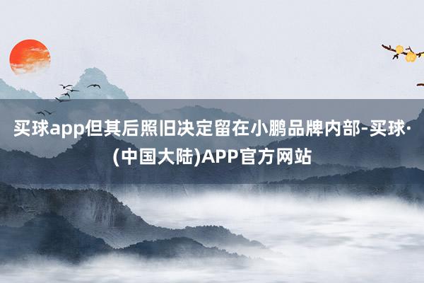 买球app但其后照旧决定留在小鹏品牌内部-买球·(中国大陆)APP官方网站