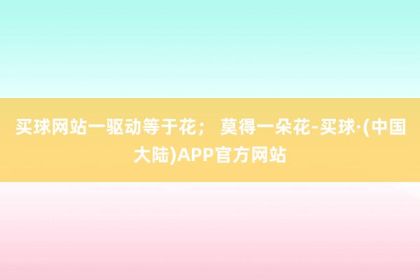 买球网站一驱动等于花； 莫得一朵花-买球·(中国大陆)APP官方网站