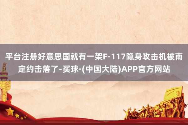 平台注册好意思国就有一架F-117隐身攻击机被南定约击落了-买球·(中国大陆)APP官方网站