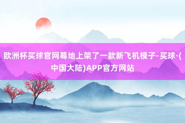 欧洲杯买球官网蓦地上架了一款新飞机模子-买球·(中国大陆)APP官方网站