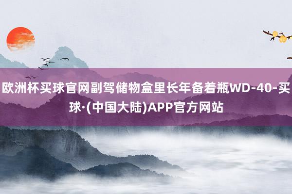 欧洲杯买球官网副驾储物盒里长年备着瓶WD-40-买球·(中国大陆)APP官方网站