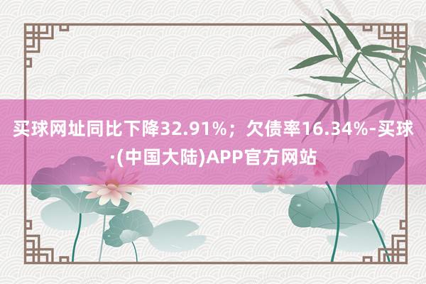 买球网址同比下降32.91%；欠债率16.34%-买球·(中国大陆)APP官方网站