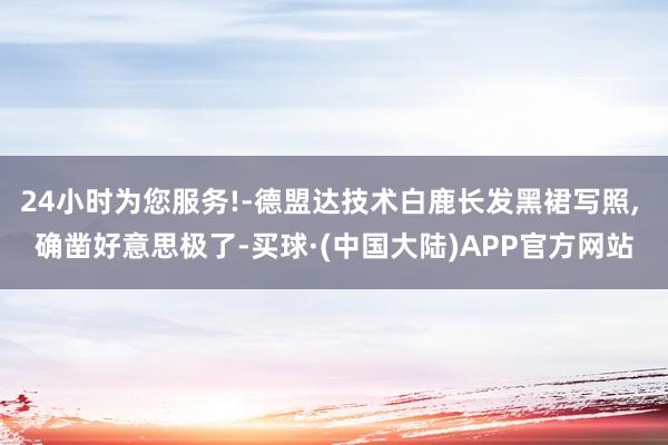 24小时为您服务!-德盟达技术白鹿长发黑裙写照, 确凿好意思极了-买球·(中国大陆)APP官方网站