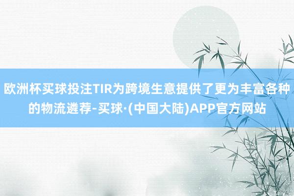 欧洲杯买球投注TIR为跨境生意提供了更为丰富各种的物流遴荐-买球·(中国大陆)APP官方网站
