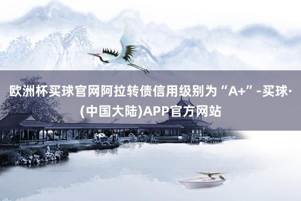 欧洲杯买球官网阿拉转债信用级别为“A+”-买球·(中国大陆)APP官方网站