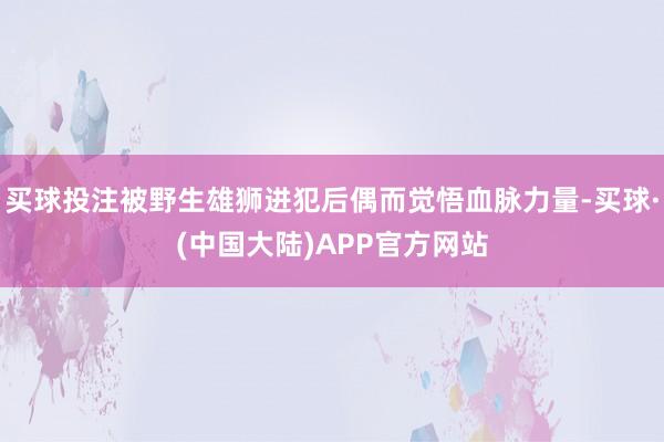 买球投注被野生雄狮进犯后偶而觉悟血脉力量-买球·(中国大陆)APP官方网站