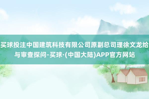 买球投注中国建筑科技有限公司原副总司理徐文龙给与审查探问-买球·(中国大陆)APP官方网站