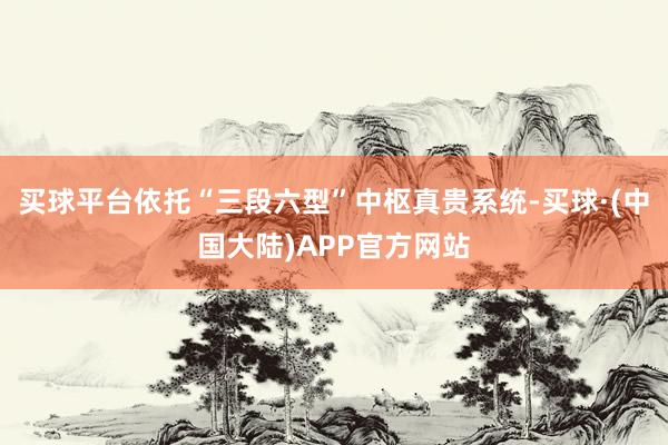 买球平台依托“三段六型”中枢真贵系统-买球·(中国大陆)APP官方网站
