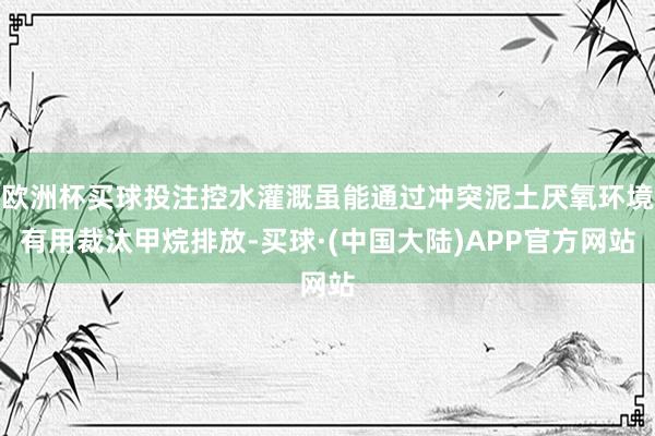 欧洲杯买球投注控水灌溉虽能通过冲突泥土厌氧环境有用裁汰甲烷排放-买球·(中国大陆)APP官方网站