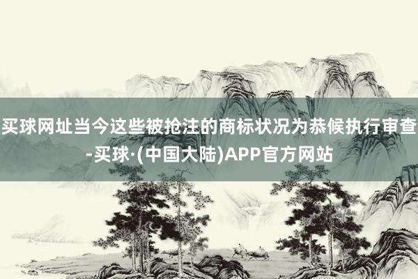 买球网址当今这些被抢注的商标状况为恭候执行审查-买球·(中国大陆)APP官方网站