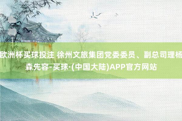 欧洲杯买球投注 徐州文旅集团党委委员、副总司理杨森先容-买球·(中国大陆)APP官方网站
