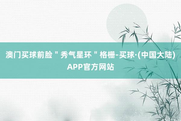 澳门买球前脸＂秀气星环＂格栅-买球·(中国大陆)APP官方网站