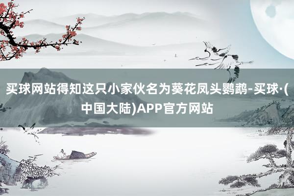 买球网站得知这只小家伙名为葵花凤头鹦鹉-买球·(中国大陆)APP官方网站