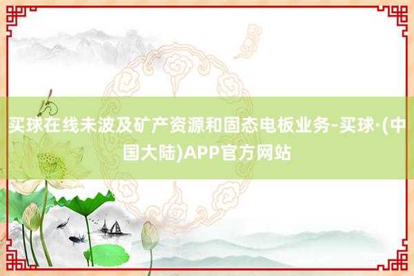 买球在线未波及矿产资源和固态电板业务-买球·(中国大陆)APP官方网站