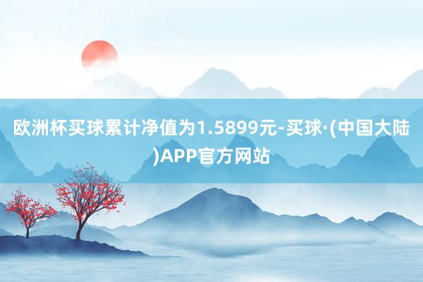欧洲杯买球累计净值为1.5899元-买球·(中国大陆)APP官方网站