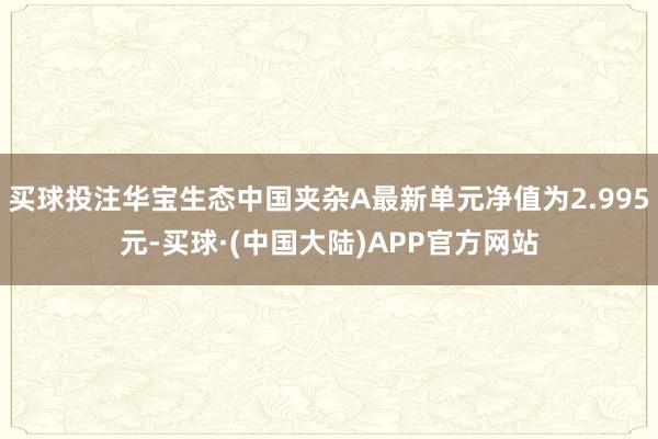 买球投注华宝生态中国夹杂A最新单元净值为2.995元-买球·(中国大陆)APP官方网站