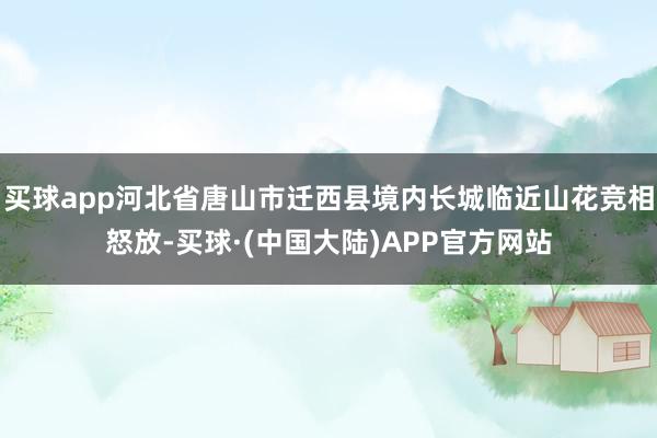 买球app河北省唐山市迁西县境内长城临近山花竞相怒放-买球·(中国大陆)APP官方网站