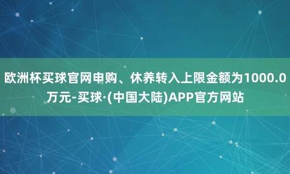 欧洲杯买球官网申购、休养转入上限金额为1000.0万元-买球·(中国大陆)APP官方网站