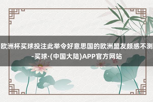 欧洲杯买球投注此举令好意思国的欧洲盟友颇感不测-买球·(中国大陆)APP官方网站