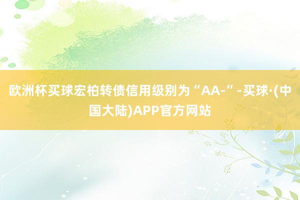 欧洲杯买球宏柏转债信用级别为“AA-”-买球·(中国大陆)APP官方网站