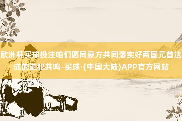 欧洲杯买球投注咱们愿同蒙方共同落实好两国元首达成的进犯共鸣-买球·(中国大陆)APP官方网站