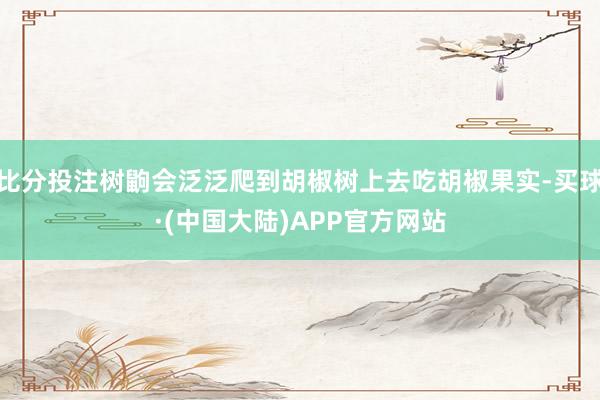 比分投注树鼩会泛泛爬到胡椒树上去吃胡椒果实-买球·(中国大陆)APP官方网站