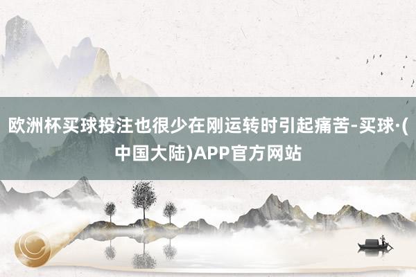 欧洲杯买球投注也很少在刚运转时引起痛苦-买球·(中国大陆)APP官方网站